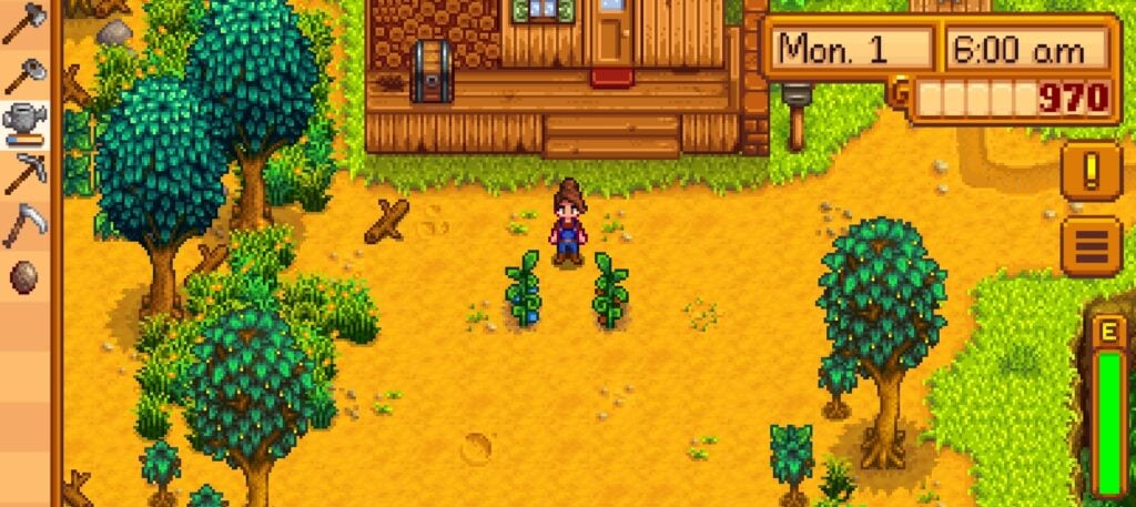 Stardew Valley