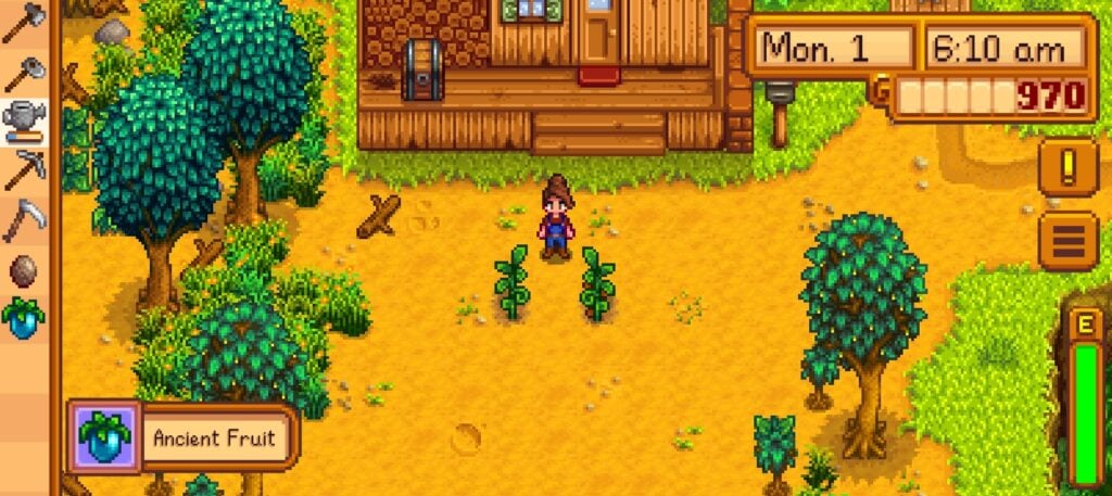 Stardew Valley